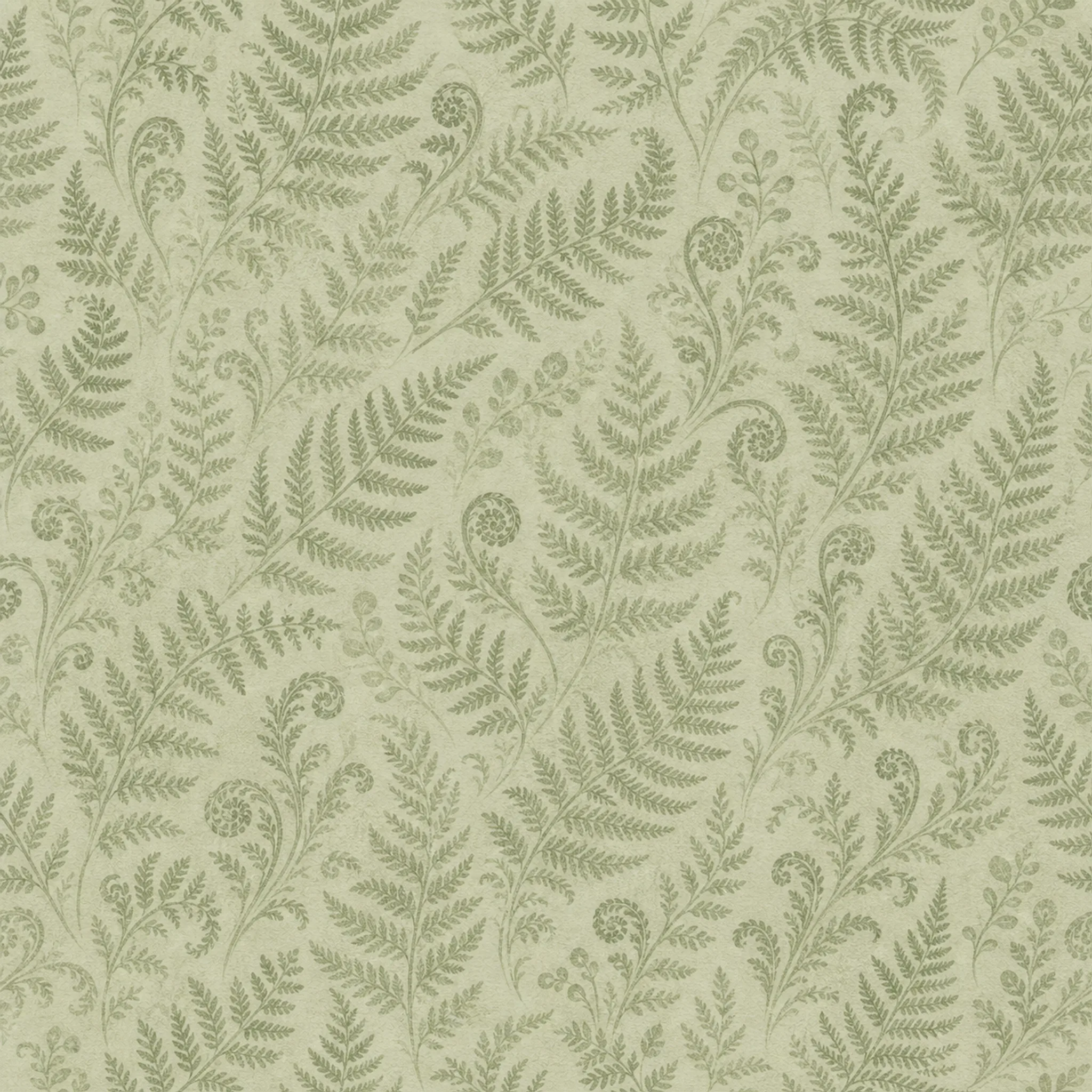 Sage Fern Whisper wrapping paper flat design