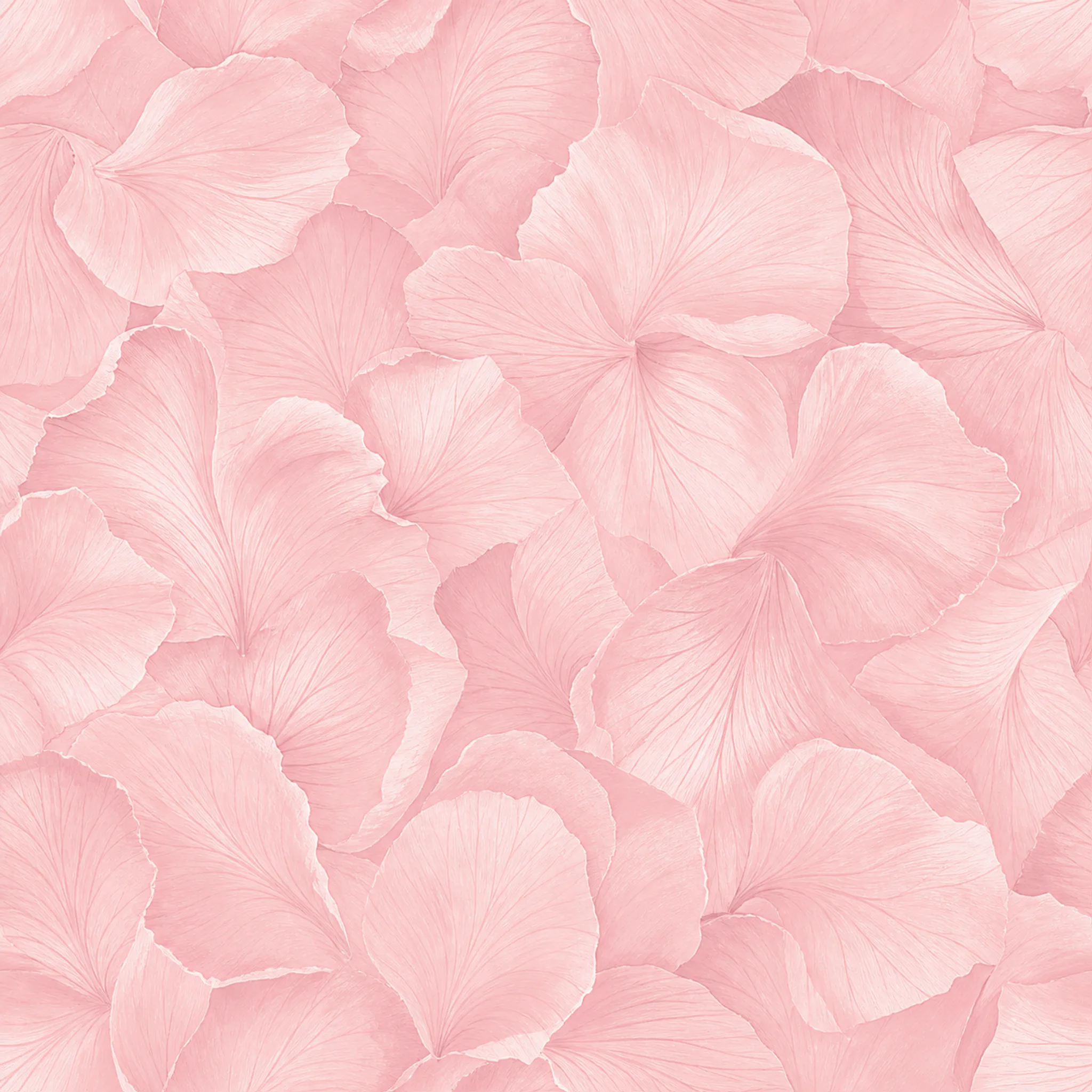 Blush Rose Vein wrapping paper flat design
